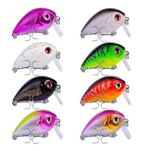 Bộ 8 Con Mồi Câu Lure Chubby Cực Nhạy