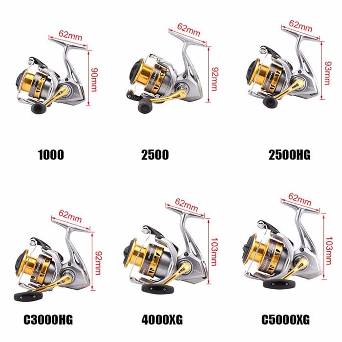 Máy Câu Đứng Shimano Sedona - Ảnh 2