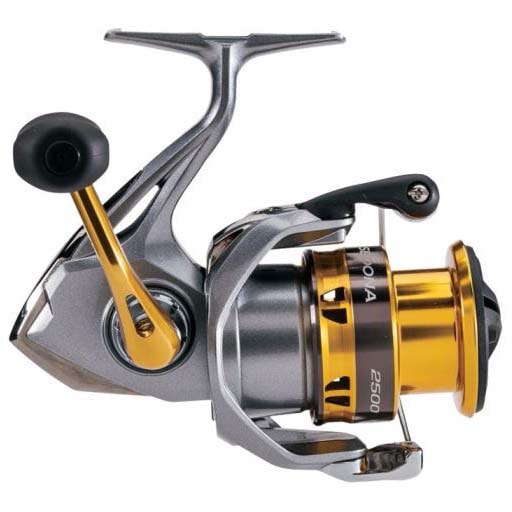 Máy Câu Đứng Shimano Sedona - Ảnh 3