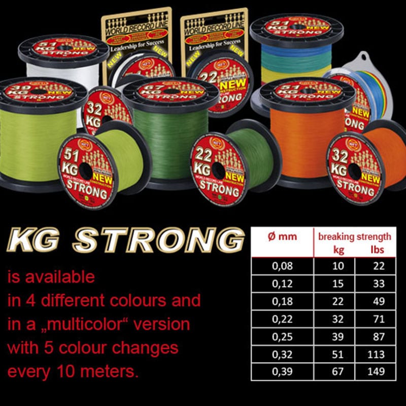 Dây PE WFT KG Strong - Ảnh 2