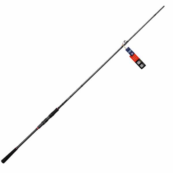 Cần Câu Lure Noeby A6 Sea Bass - Ảnh 3