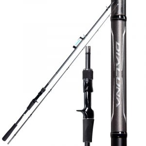 Cần Câu Lure Máy Ngang Shimano Dialuna