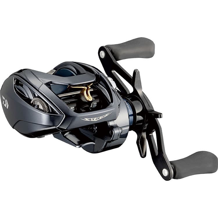 Máy Câu Daiwa Steez A TW HLC - Ảnh 2