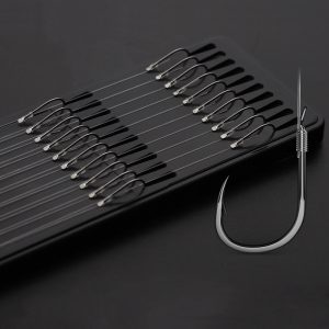 Set 10 thẻo câu đài buộc sẵn LINNHUE TC05