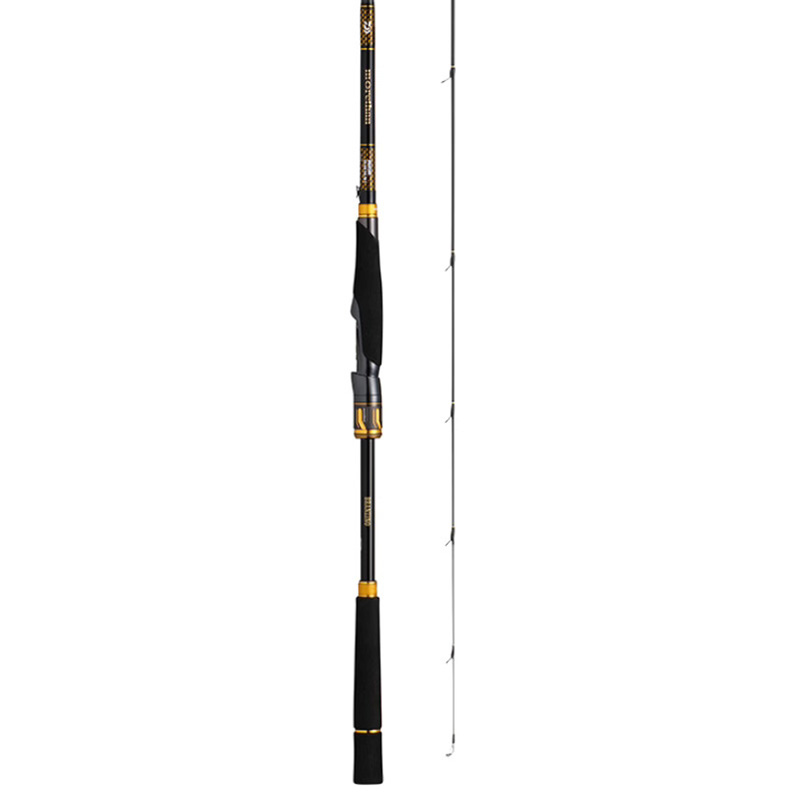 Daiwa Morethan Branzino EX AGS - Ảnh 2