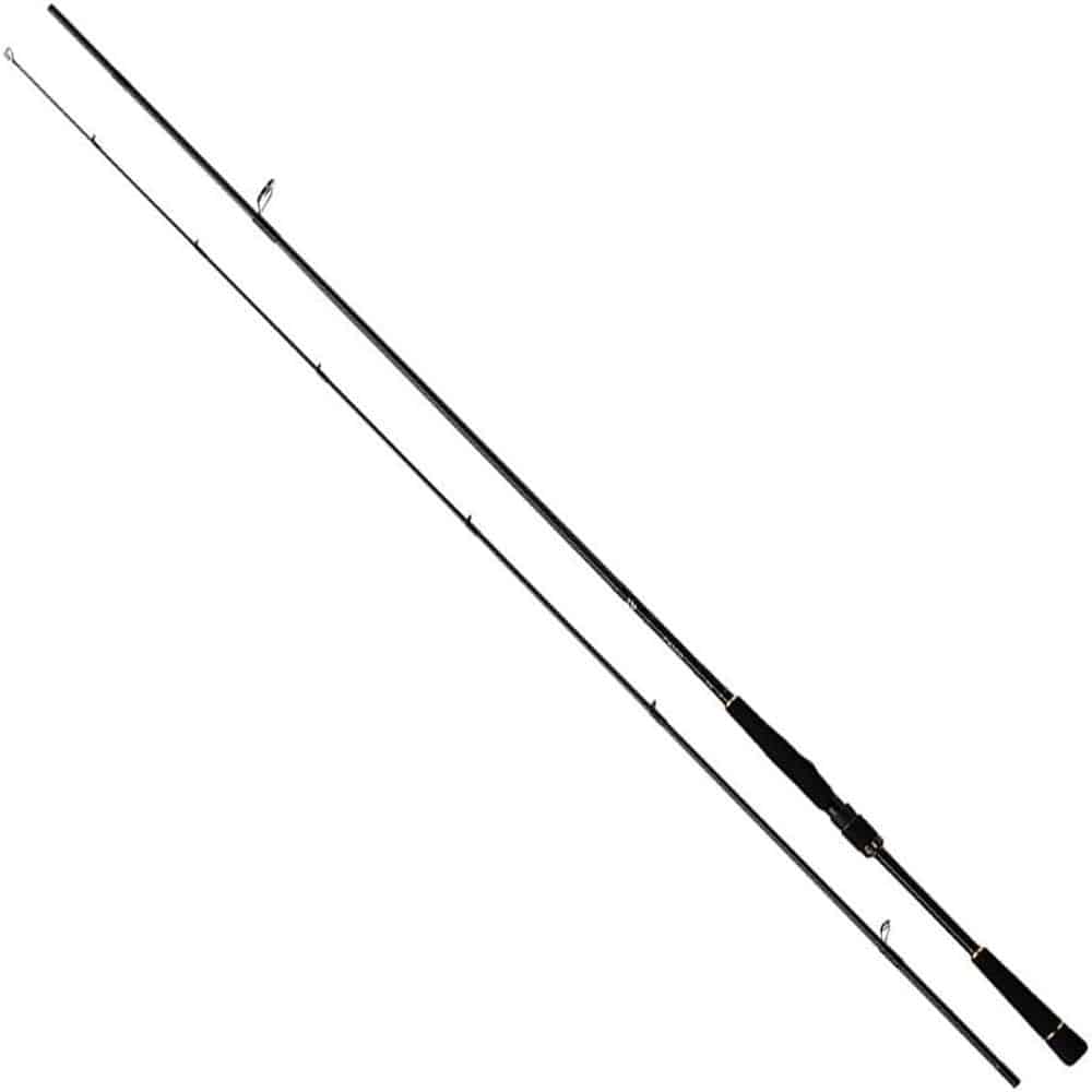 21 Cần Câu Daiwa Lateo