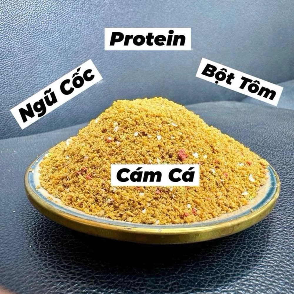 Mồi Câu Cá Tổng Hợp Biệt Đội Săn Hàng - Ảnh 3