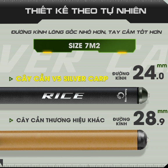 Cần Câu Tay V5 Silver Carp - Ảnh 3