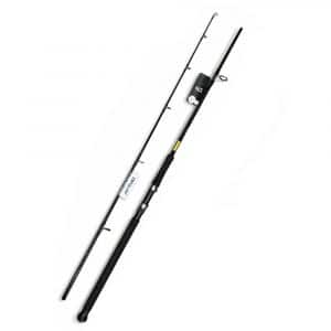 Cần Câu Daiwa 26 Jupiter x Superior