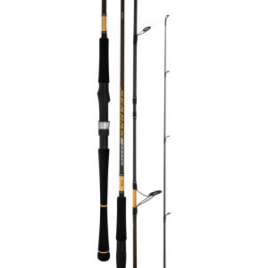 Cần Câu Daiwa 23 Seabass