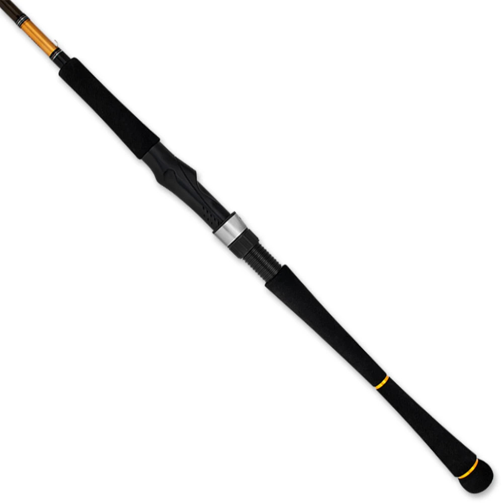 Cần Câu Daiwa 23 Seabass - Ảnh 3