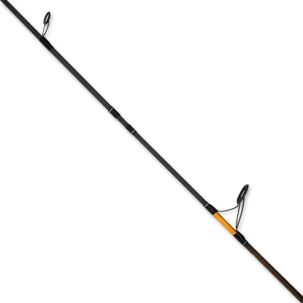 Cần Câu Daiwa 23 Seabass - Ảnh 5