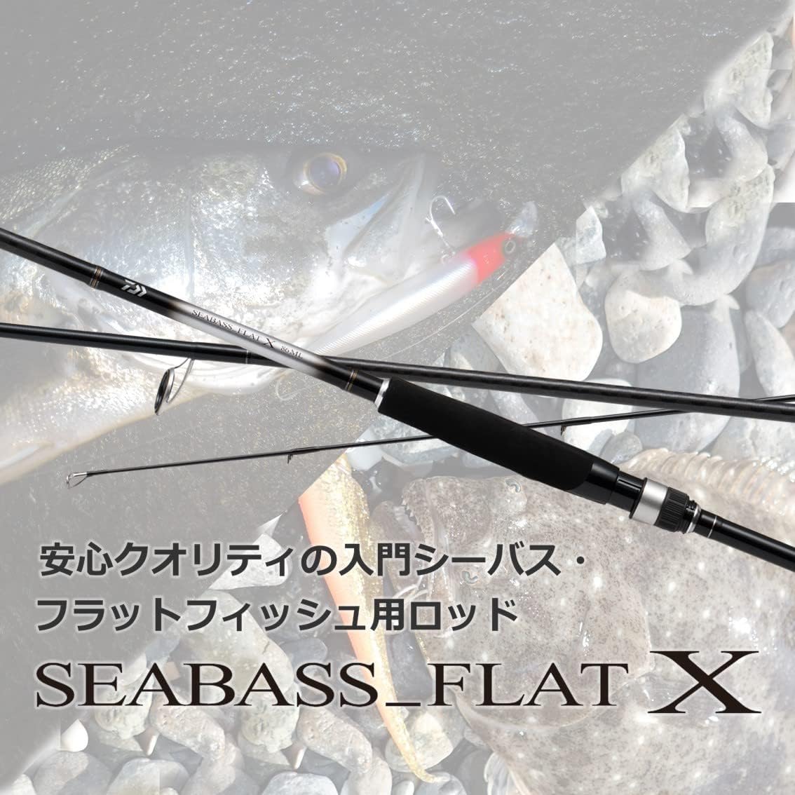Cần Câu Daiwa 23 Seabass Flat X - Ảnh 2
