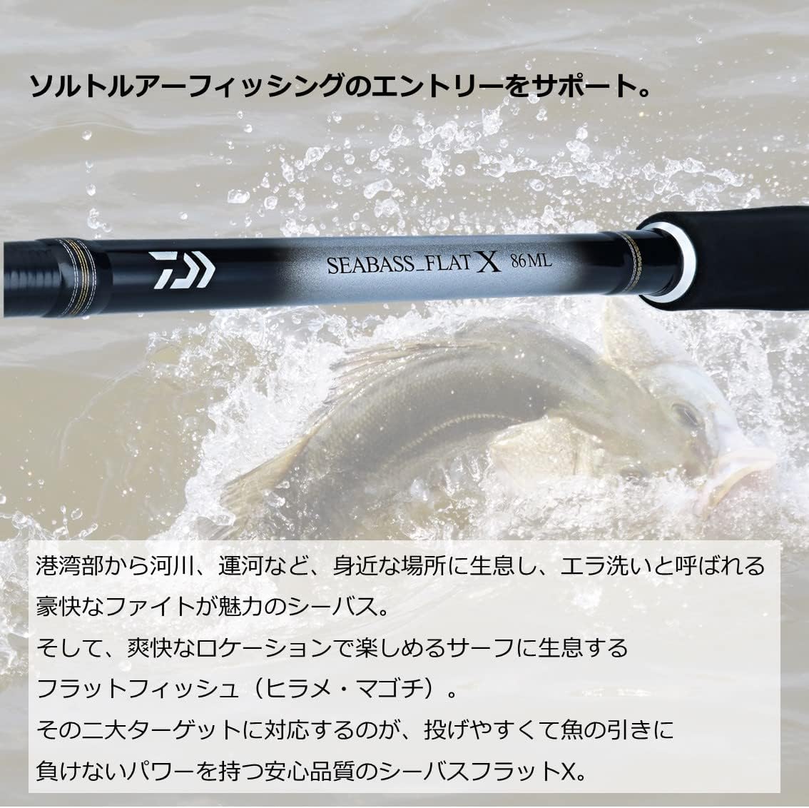 Cần Câu Daiwa 23 Seabass Flat X - Ảnh 3