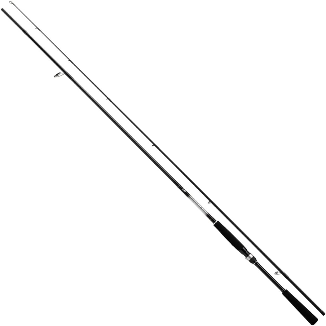 Cần Câu Daiwa 23 Seabass Flat X