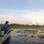 Bí quyết săn cá lóc vào mùa nước nổi 